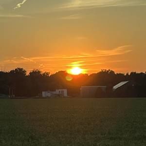 Meet your Posher, Sam